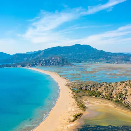 Portakal Blossom * Dalyan